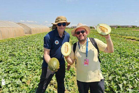 ‘All you need’ en melón te lo aporta Syngenta