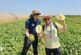 ‘All you need’ en melón te lo aporta Syngenta