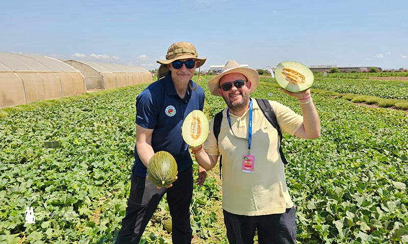 ‘All you need’ en melón te lo aporta Syngenta