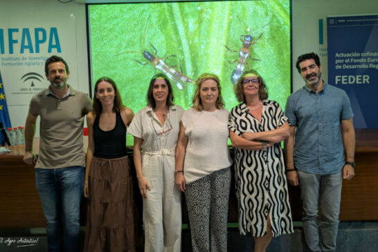 Megalops, el nuevo bicho autóctono que llama a la puerta del sector para su cría comercial