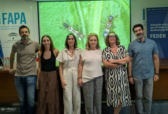 Megalops, el nuevo bicho autóctono que llama a la puerta del sector para su cría comercial