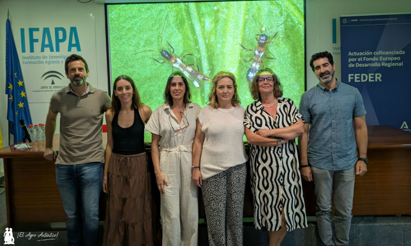Megalops, el nuevo bicho autóctono que llama a la puerta del sector para su cría comercial