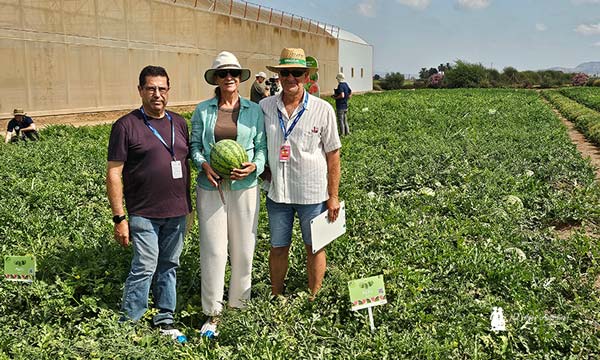 De menor a mayor tamaño Syngenta lo tiene todo en sandía 2