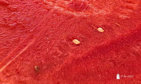 Carne de la sandía Beladream. Traza y cavidad seminal pequeña / agroautentico.com