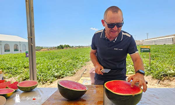 Pere Montón con la nueva variedad de sandía negra Beladream / agroautentico.com