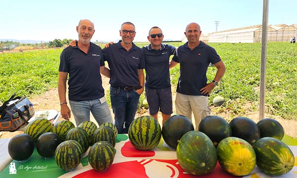 Equipo de sandías de BASF | Nunhems en el campo de Cartagena / agroautentico.com