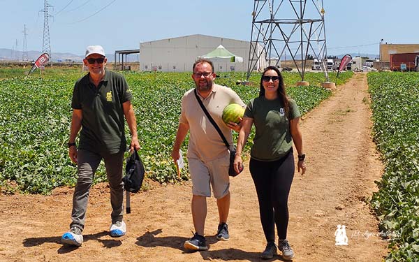 CyroLine y OrangeCandy en melón y primeras microsemillas en sandía de Seminis / agroautentico.com