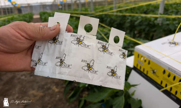 Sobres de Swirskii de Biosur / agroautentico.com
