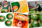 Unica culmina con éxito su primer programa completo de sandía naranja