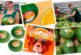 Unica culmina con éxito su primer programa completo de sandía naranja