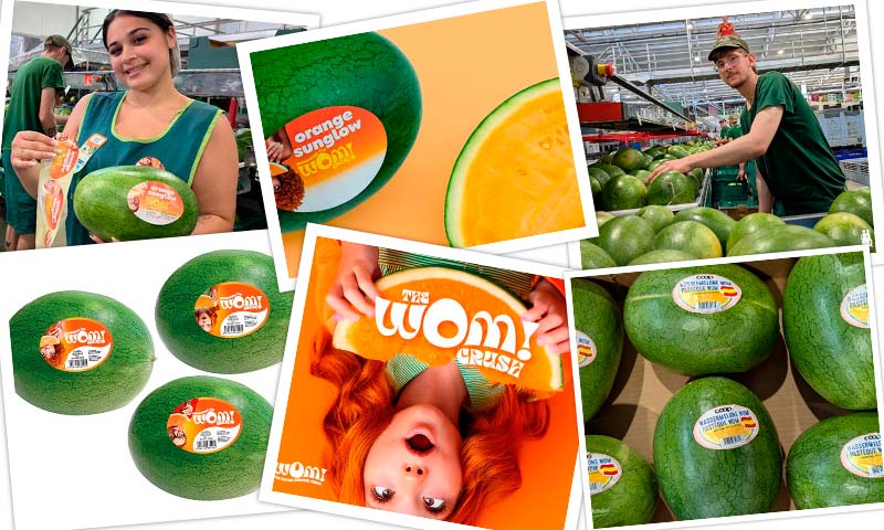 Unica culmina con éxito su primer programa completo de sandía naranja