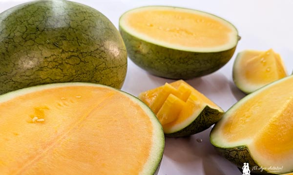 Unica culmina con éxito su primer programa completo de sandía naranja 10