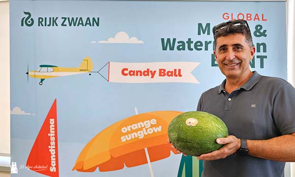 Rijk Zwaan es la casa madre obtentora de la variedad Orange Sunglow
