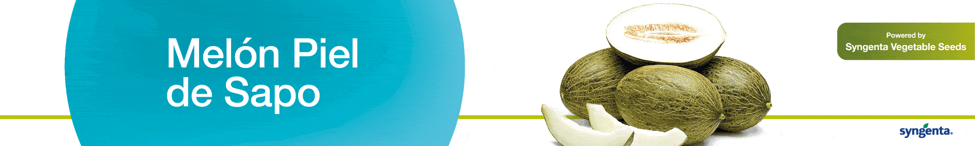 TOP BANNER SYNGENTA MELON