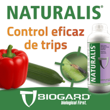 CUADRADO 2 BIOGARD