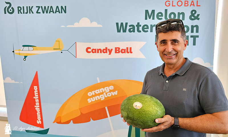 Sandía y melón no solo en el postre deRijk Zwaan