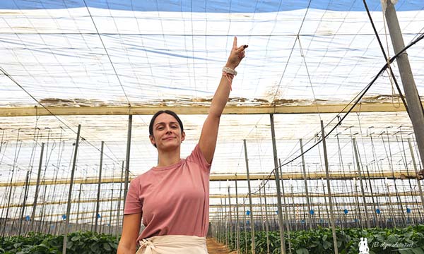 Agriplast cambia en los plásticos de cubierta las reglas del campo con Agri50 Pro-agroautentico.com