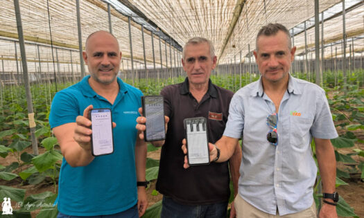 Alberto Lázaro de Himarcan con el agricultor Miguel Vargas y el director técnico de Fico Antonio Alba / agroautentico.com