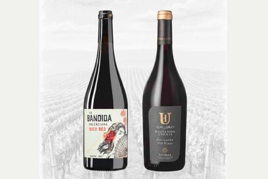 Anecoop Bodegas suma ocho nuevos oros en Berliner Wein Trophy