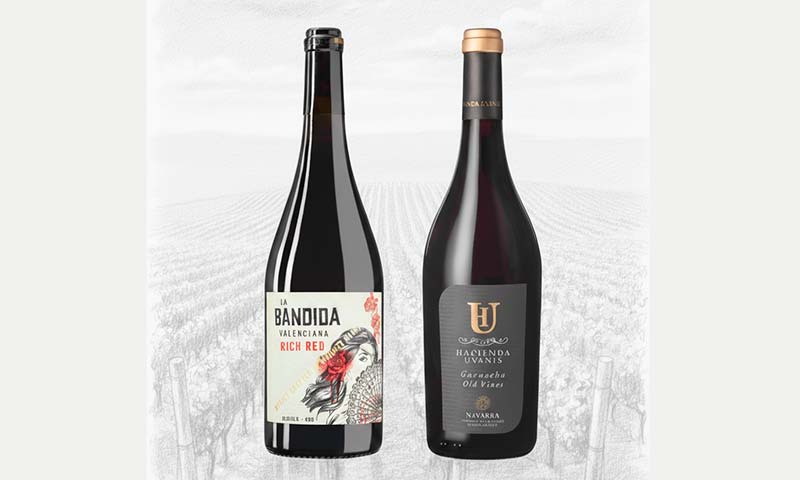 Anecoop Bodegas suma ocho nuevos oros en Berliner Wein Trophy