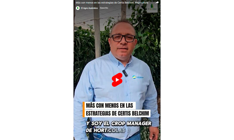 Certis Belchim planifica la campaña 2025/26 para producir más con menos
