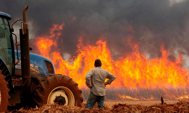 El fuego visible y el que arde en silencio