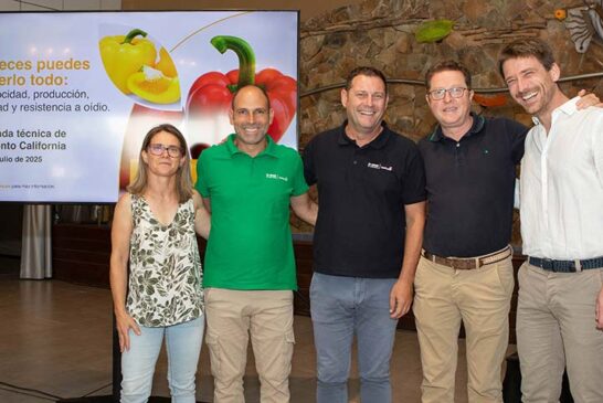 El rojo Kostantine y el amarillo Kasiopea son los californias de BASF | Nunhems para Murcia