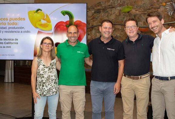El rojo Kostantine y el amarillo Kasiopea son los californias de BASF | Nunhems para Murcia