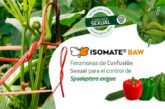 Biogard presenta Isomate Baw, feromonas de confusión sexual para controlar Spodoptera exigua