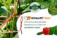 Biogard presenta Isomate Baw, feromonas de confusión sexual para controlar Spodoptera exigua
