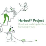 Semillas Fitó lanza Harbest-el nuevo sello que mejora la recolección en pimiento para industria-agroautentico