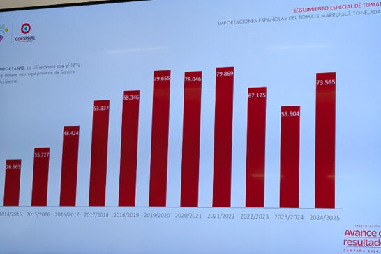 Radiografía del tomate: el pera es el tipo que mejor cotizó el último año