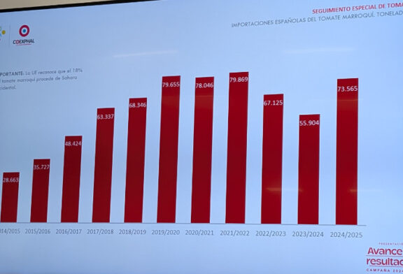 Radiografía del tomate: el pera es el tipo que mejor cotizó el último año