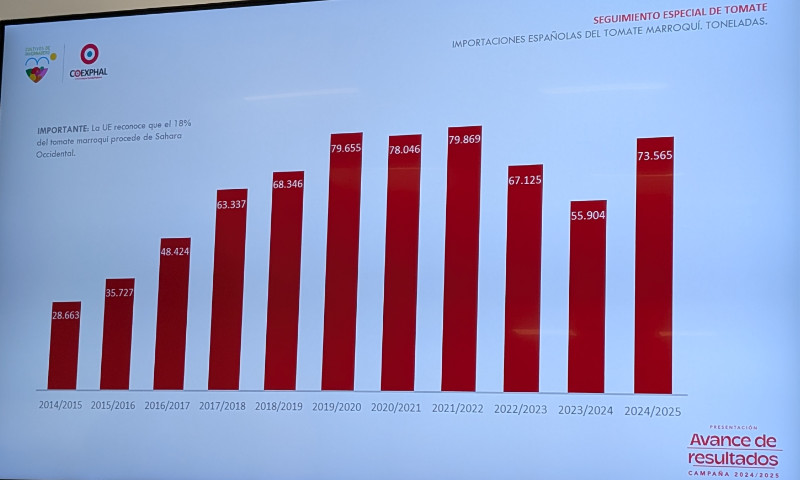 Importaciones españolas del tomate marroquí. Toneladas. Datos elaborados por Coexphal / agroautentico.com