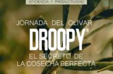 Día 9 de septiembre. Jornada del olivar: DROOPY®