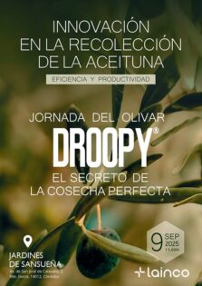 Jornada de olivar de Lainco
