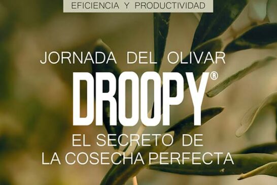 Día 9 de septiembre. Jornada del olivar: DROOPY®