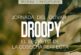 Día 9 de septiembre. Jornada del olivar: DROOPY®