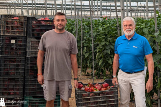 El temprano de Almería de la campaña 2025/26 ya está aquí