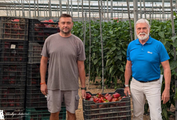 El temprano de Almería de la campaña 2025/26 ya está aquí