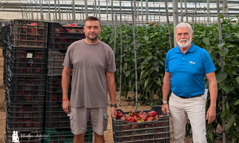 El temprano de Almería de la campaña 2025/26 ya está aquí