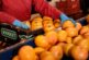 La cooperativa murciana Frucimu entra en el accionariado de Agriconsa