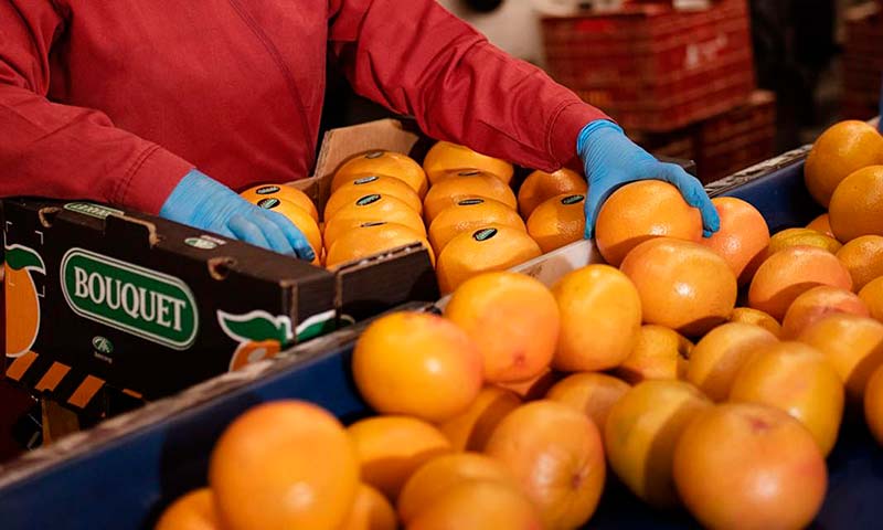 La cooperativa murciana Frucimu entra en el accionariado de Agriconsa