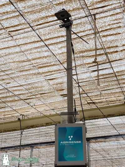 Piranómetro o sonda de luz para hacer riego por radiación / agroautentico.com