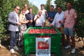Poma de Girona arranca campaña con una profunda renovación varietal de sus manzanas