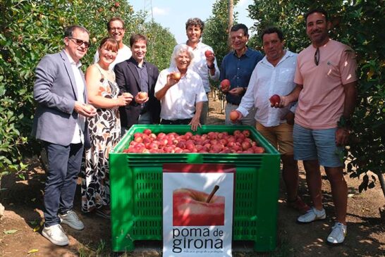 Poma de Girona arranca campaña con una profunda renovación varietal de sus manzanas