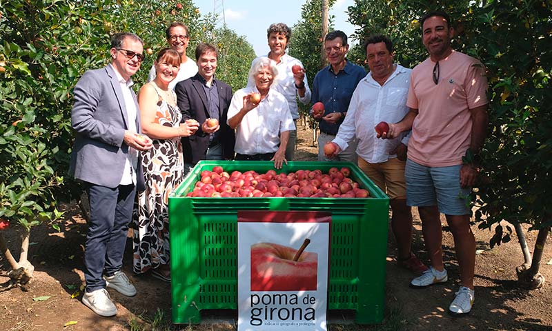Poma de Girona arranca campaña con una profunda renovación varietal de sus manzanas