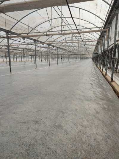 Solarización en un invernadero del Mar Menor / agroautentico.com