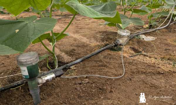 Tensiómetro (izquierda) y contador de agua (derecha) / agroautentico.com