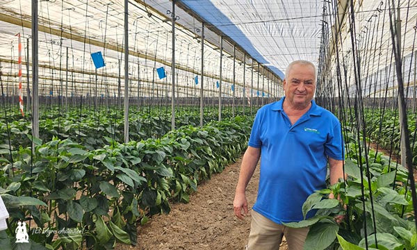 Agriplast cambia en los plásticos de cubierta las reglas del campo con Agri50 Pro 4